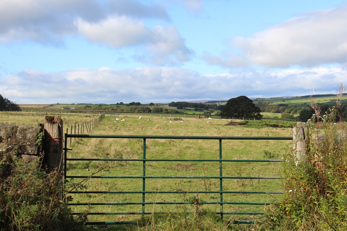 21118C7B-C750-49D5-95ED-9B9EB80CA04E