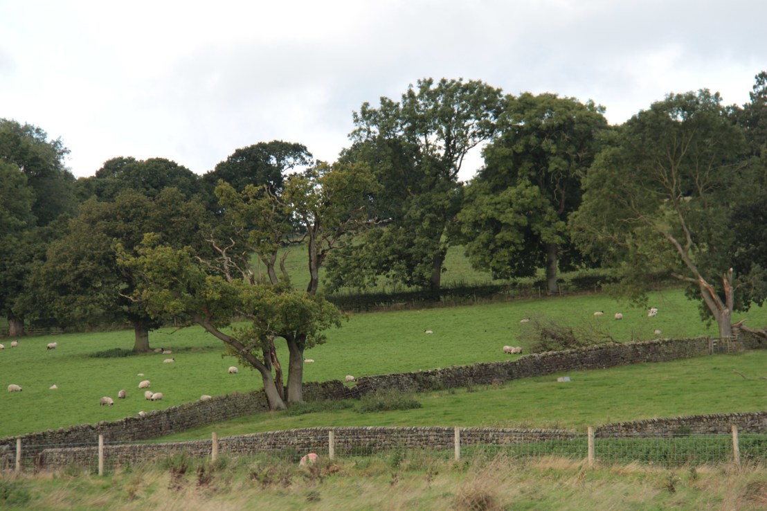 233DE76B-2CA2-4CF4-876D-BE2F50689ADF