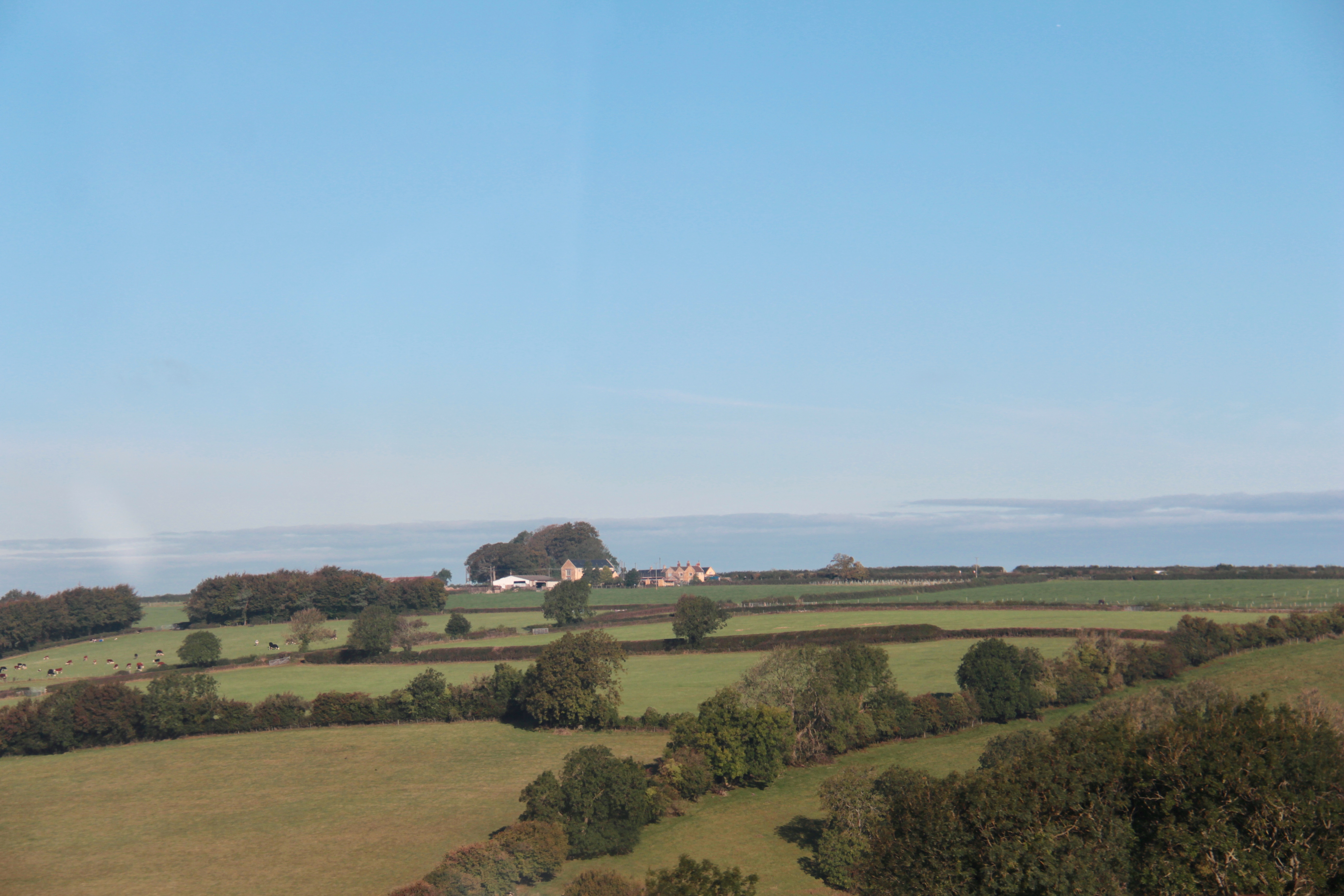 351F0BFE-A2DD-47F1-9340-835F695BE5DA