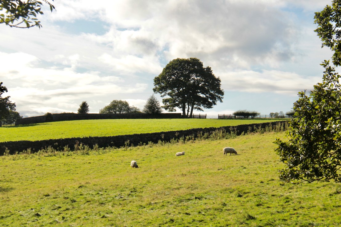 7FEC98C8-0972-4EE5-9FD7-D324C7CA3F02