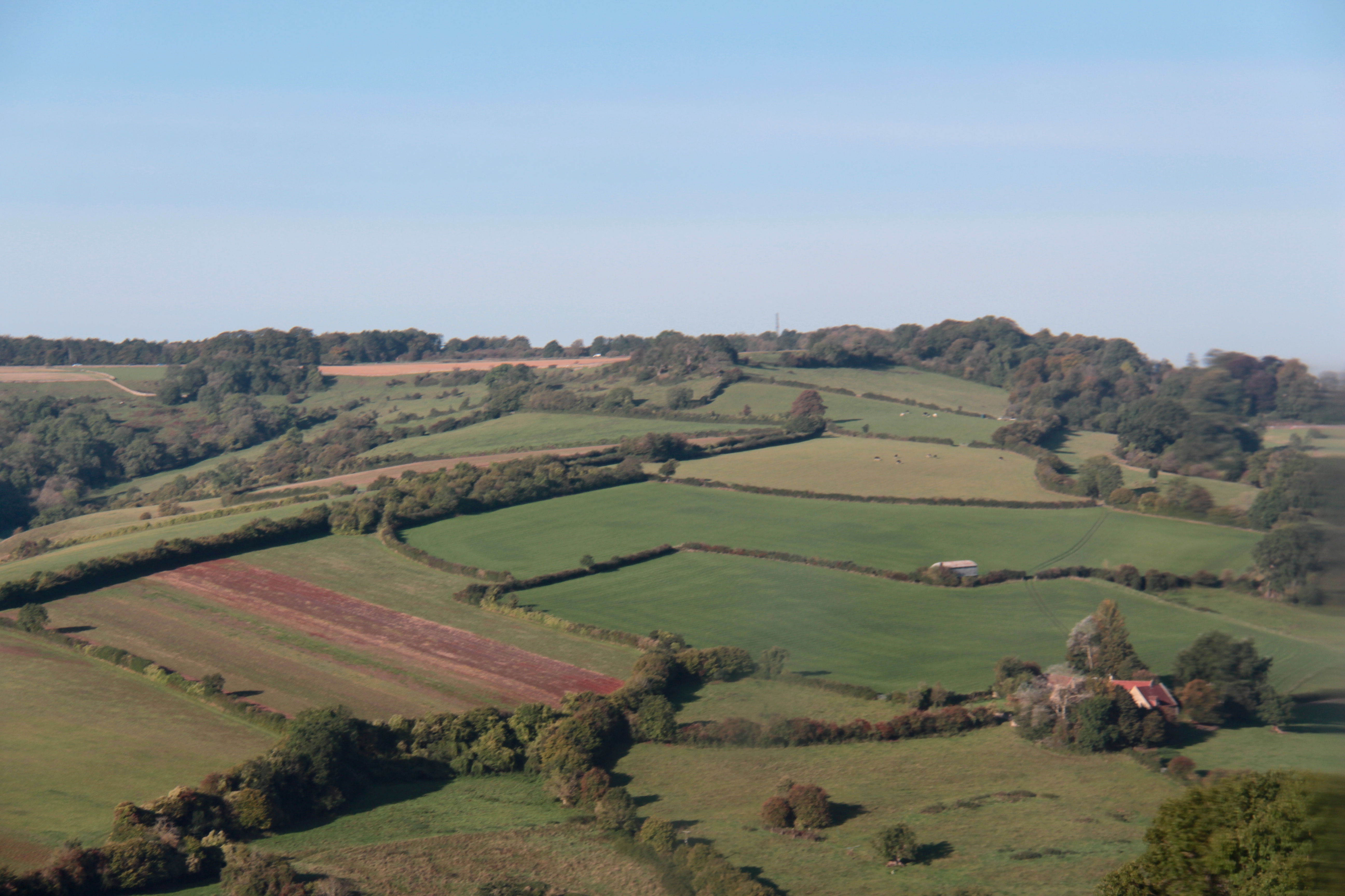 850EFD32-7A1E-4BFC-9FEF-21F4C5A6EAB7