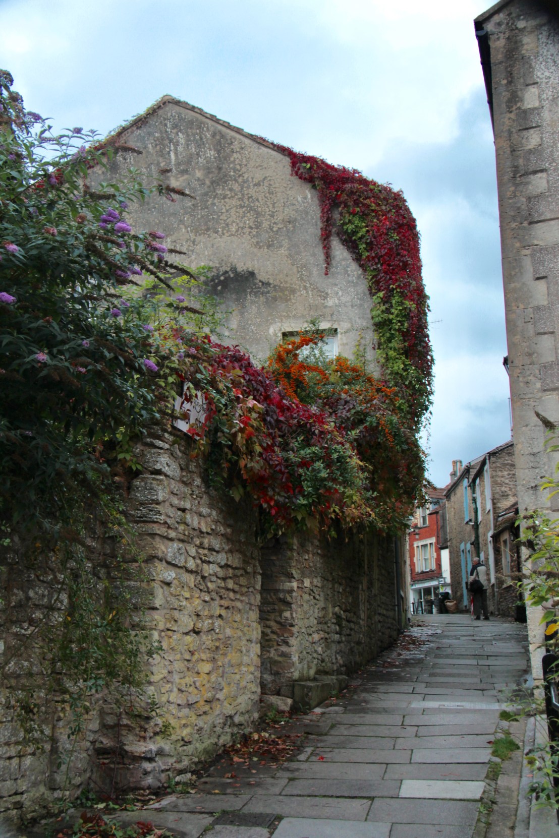 853CB3EE-5A1C-47FC-B2C2-4DD375DCA6B4