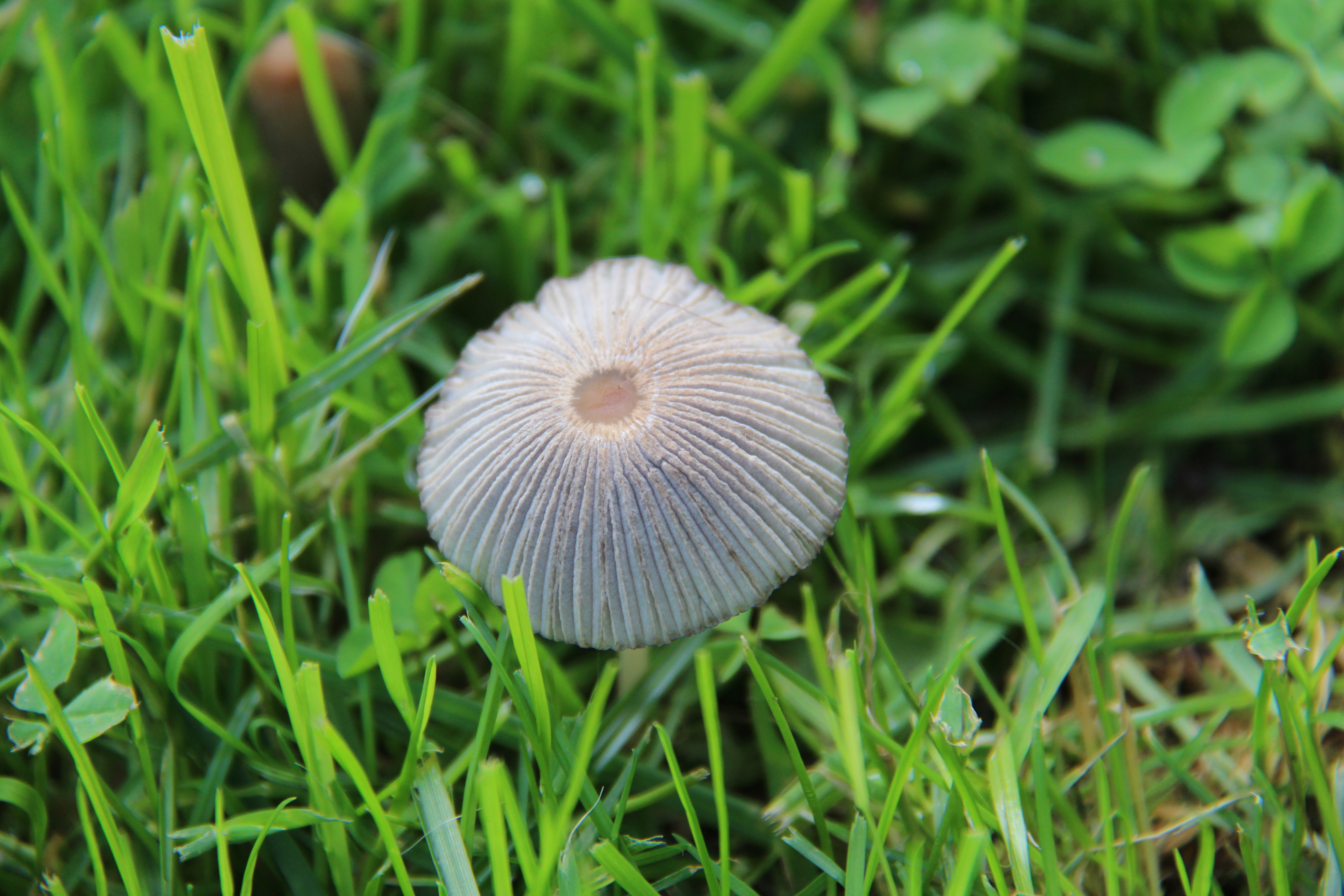 B31C5D98-02E6-450F-B0C6-657D9988B60A