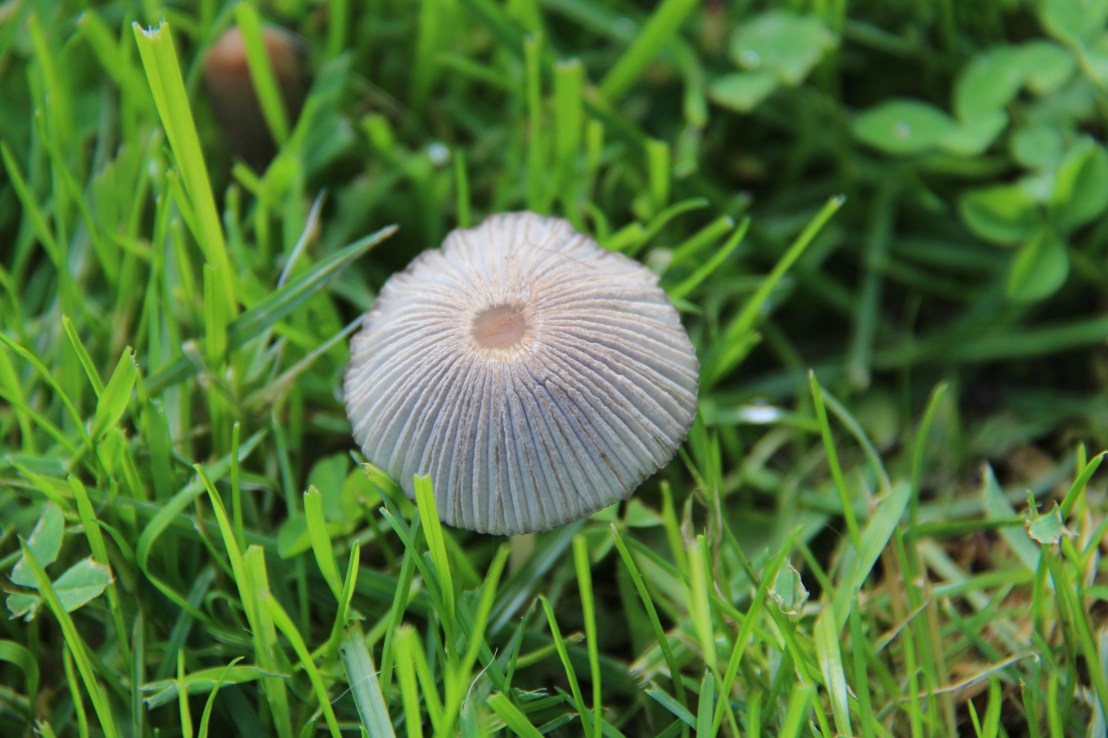 B31C5D98-02E6-450F-B0C6-657D9988B60A