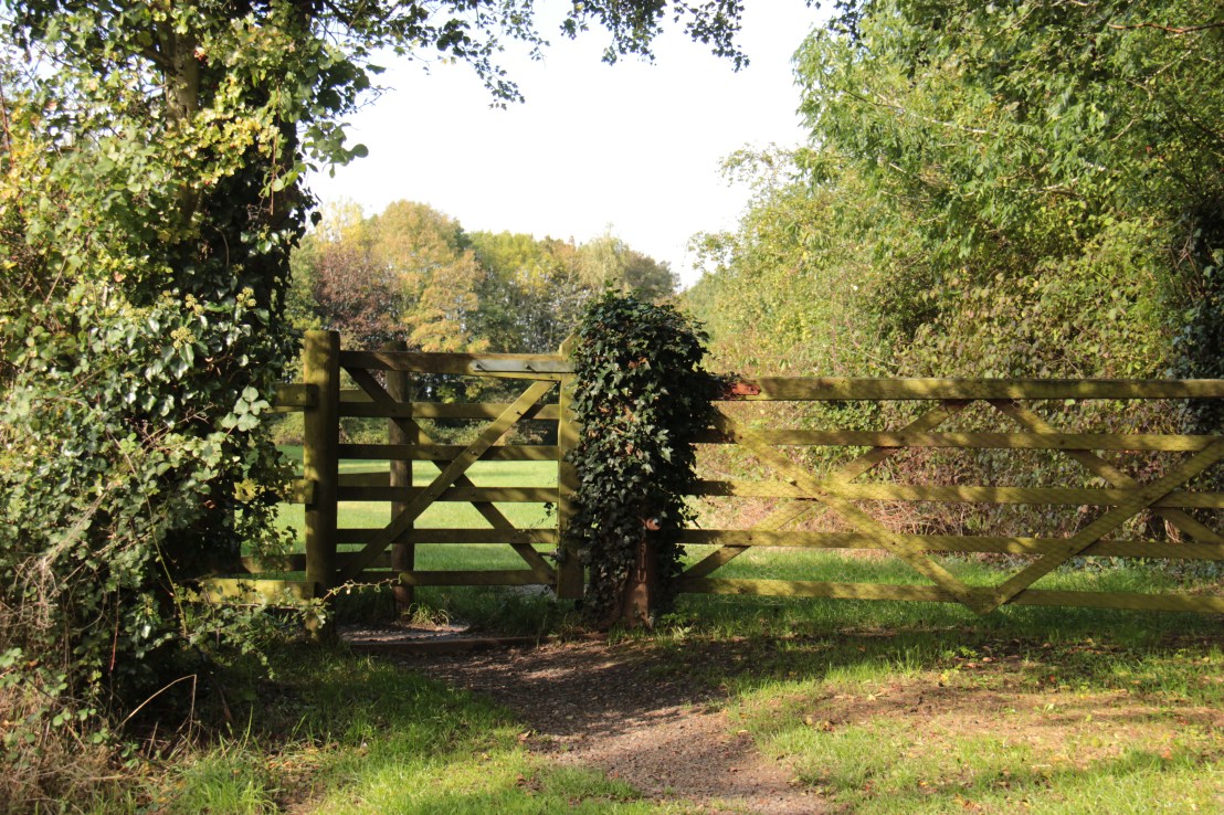 BDE43135-811D-491D-AE63-D3D9D54ED6CC