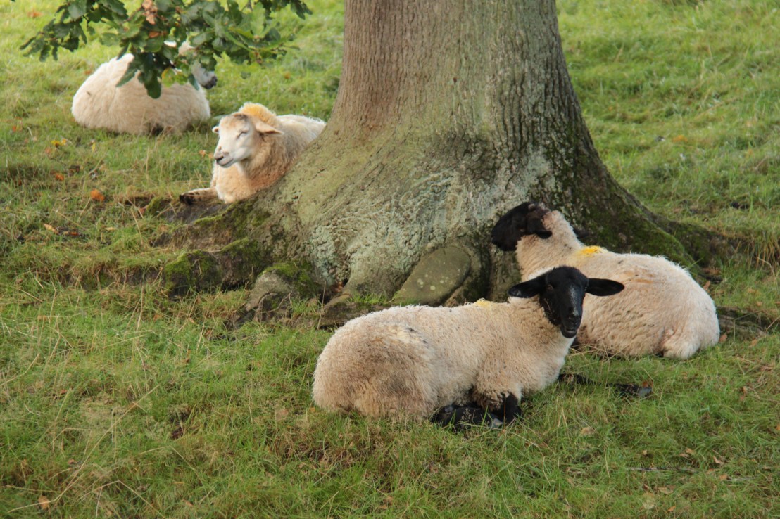 D579A883-E7C2-4D75-82BE-3BE15575AB12