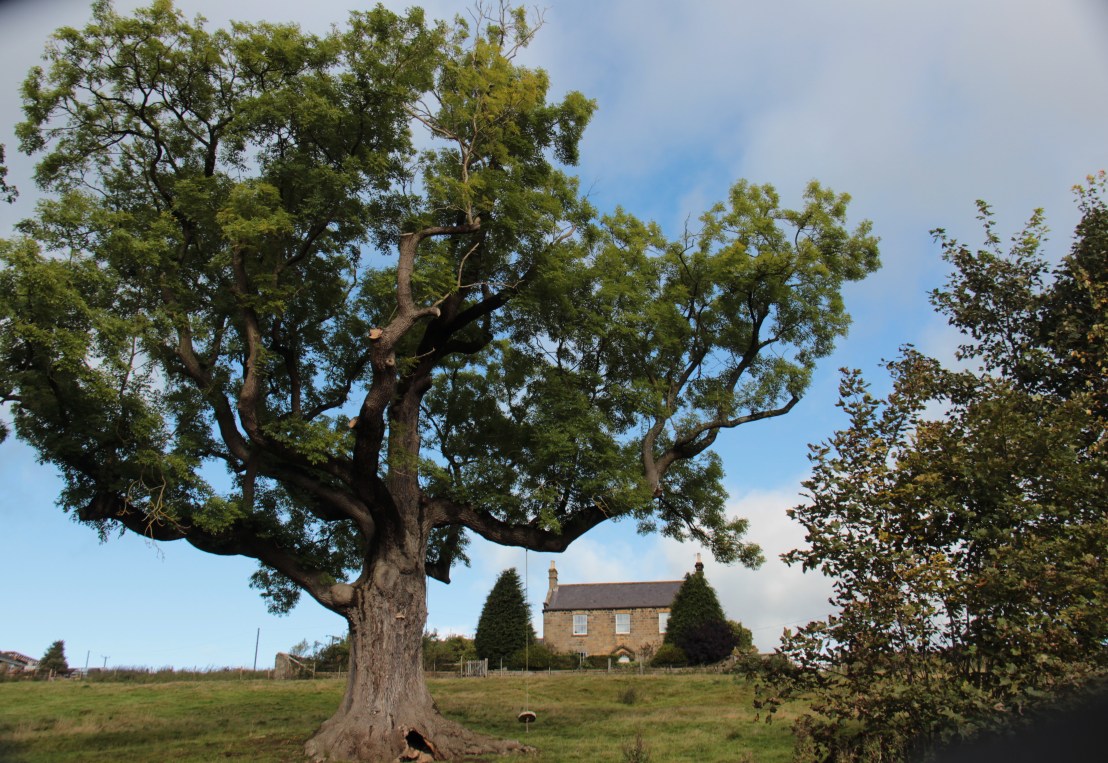 EF49BD2D-C4F1-419C-B3CE-BD118328D146