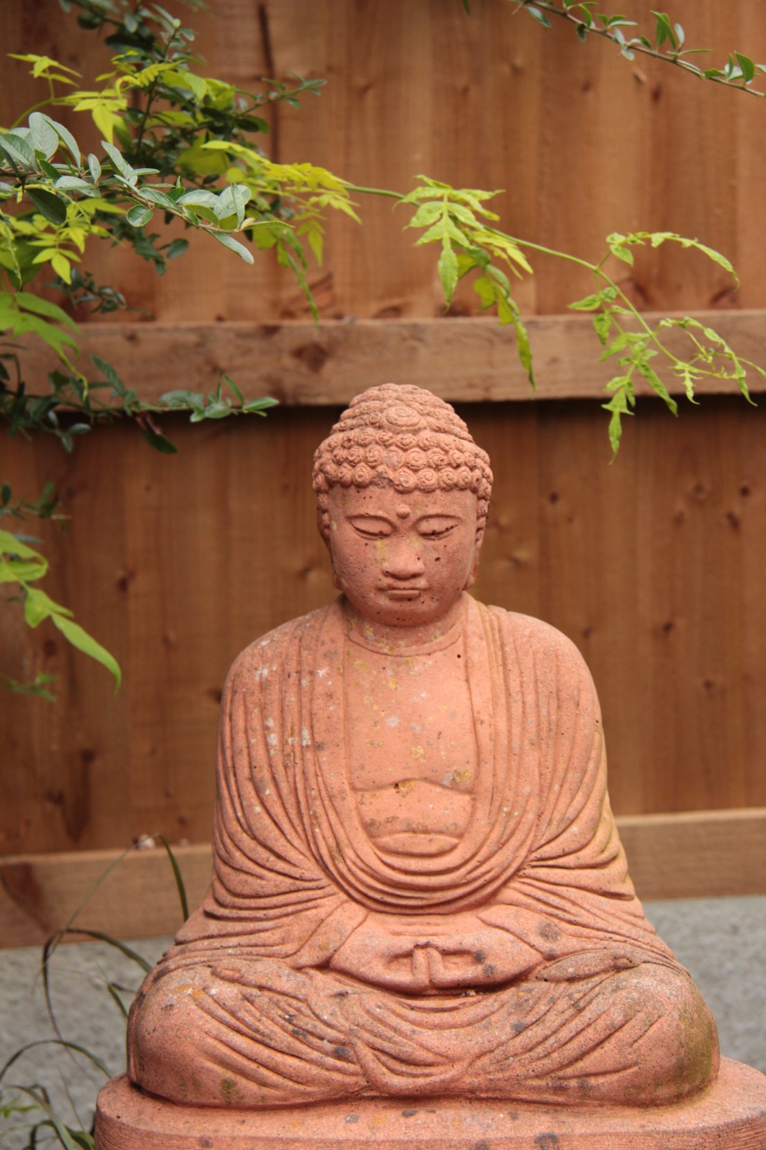 F6A7CD44-373E-444C-A689-AF2F687019BF