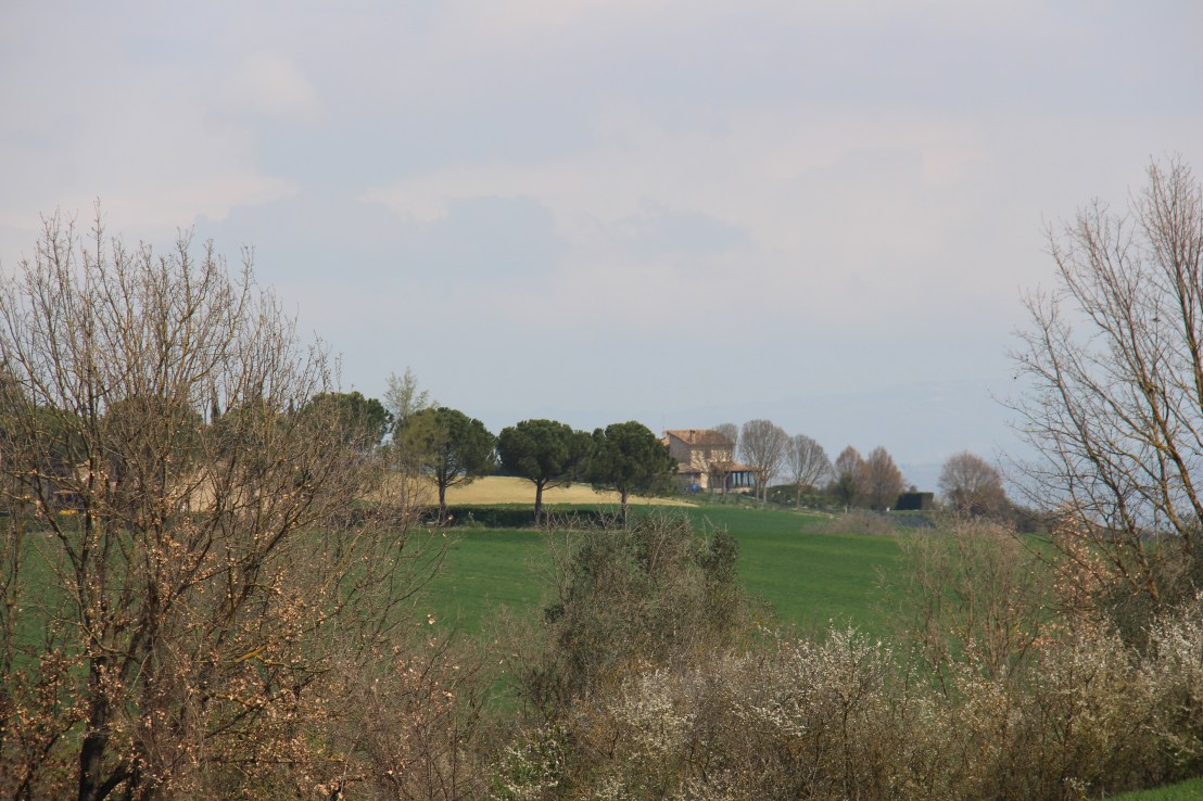 0310217F-5C10-42A2-AE82-C3F00D4BCE35