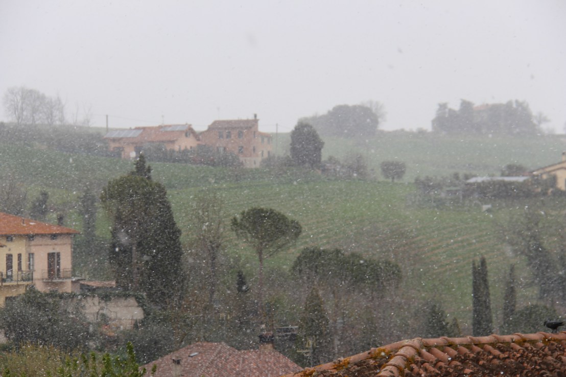 081F7B9D-9CC1-4D2B-91E8-98B56EBD9B48