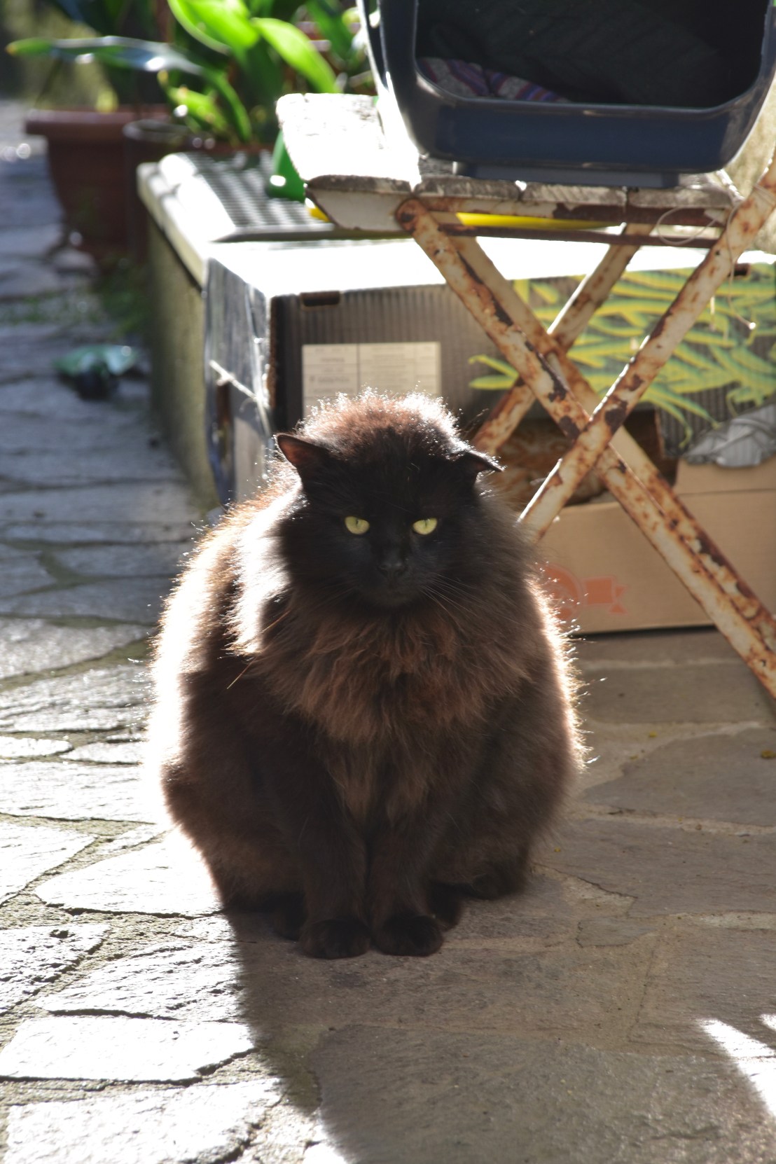 0C349B3B-10FF-4512-927C-101DB434374A