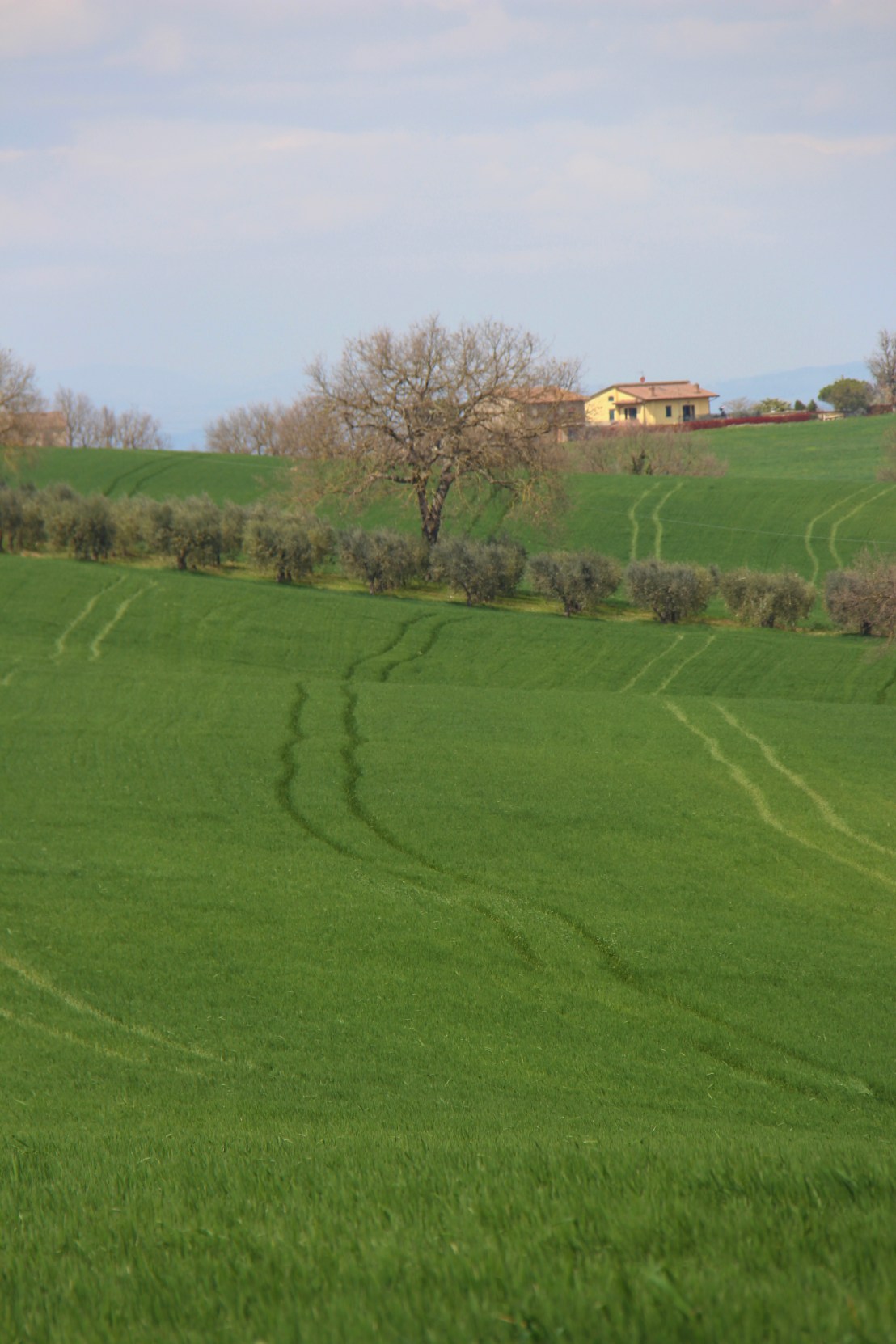 151DECF3-4778-4937-9C60-C3B649608C84