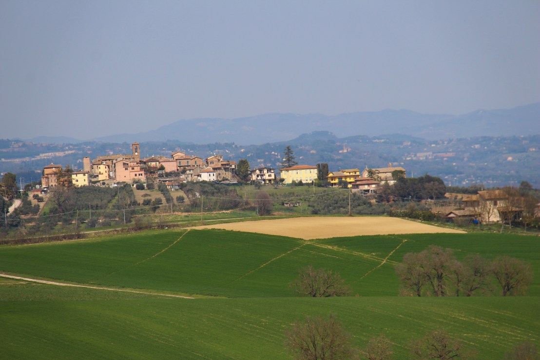 1CE4AF27-988B-4FCF-86EE-901A8C618079