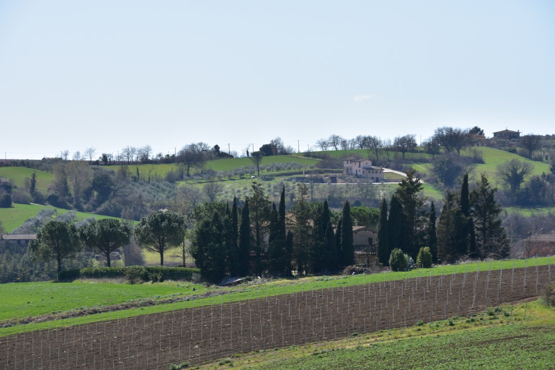 3BA59A4C-6A51-4185-BECE-B4AB1B2CC768