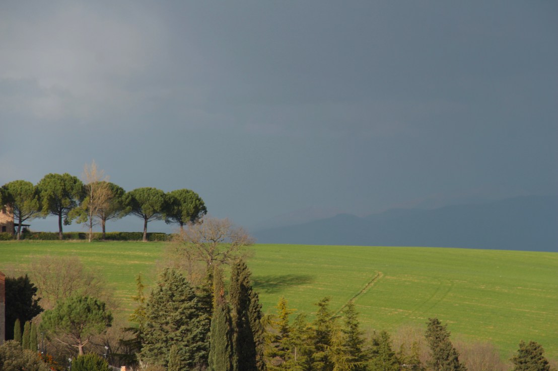 3CBEE9DF-FCF0-452C-B8B4-F9BA6B2CD347