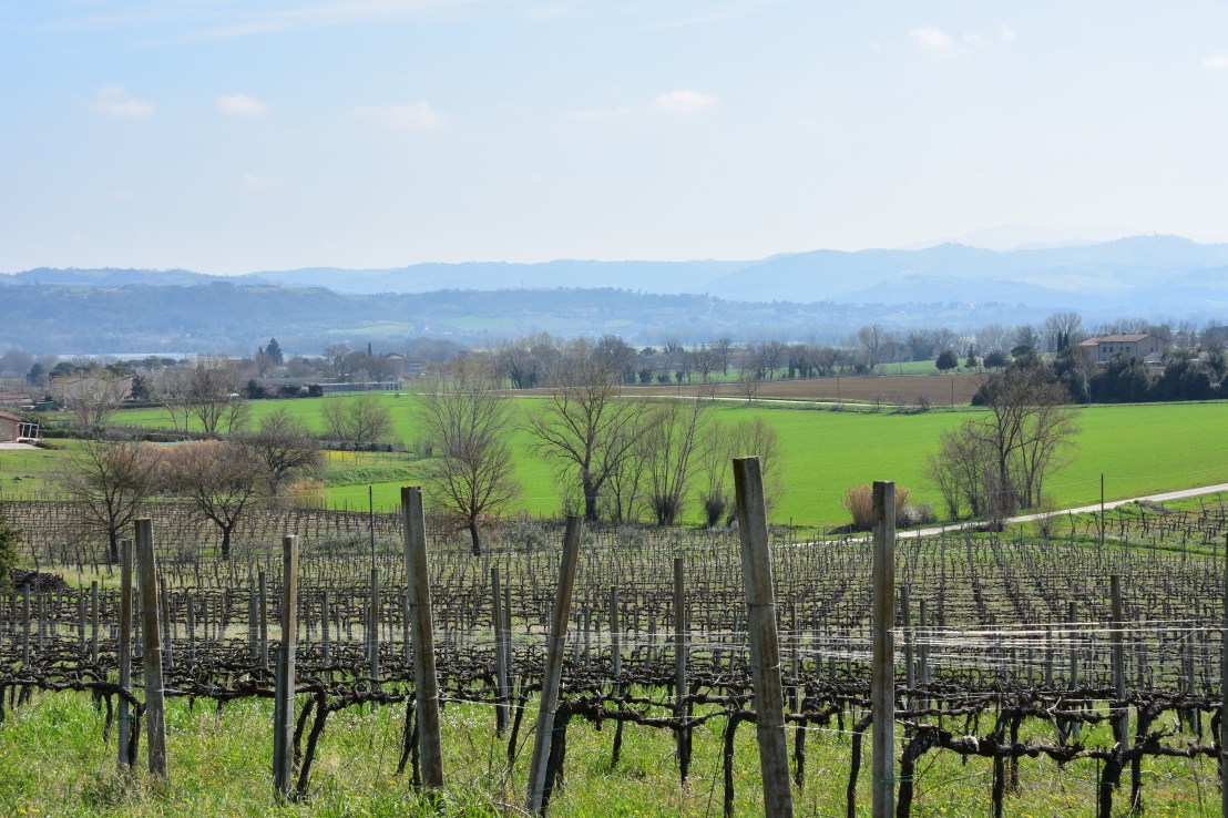 4F4B09FE-13E2-4E86-9878-FF3565F5436B