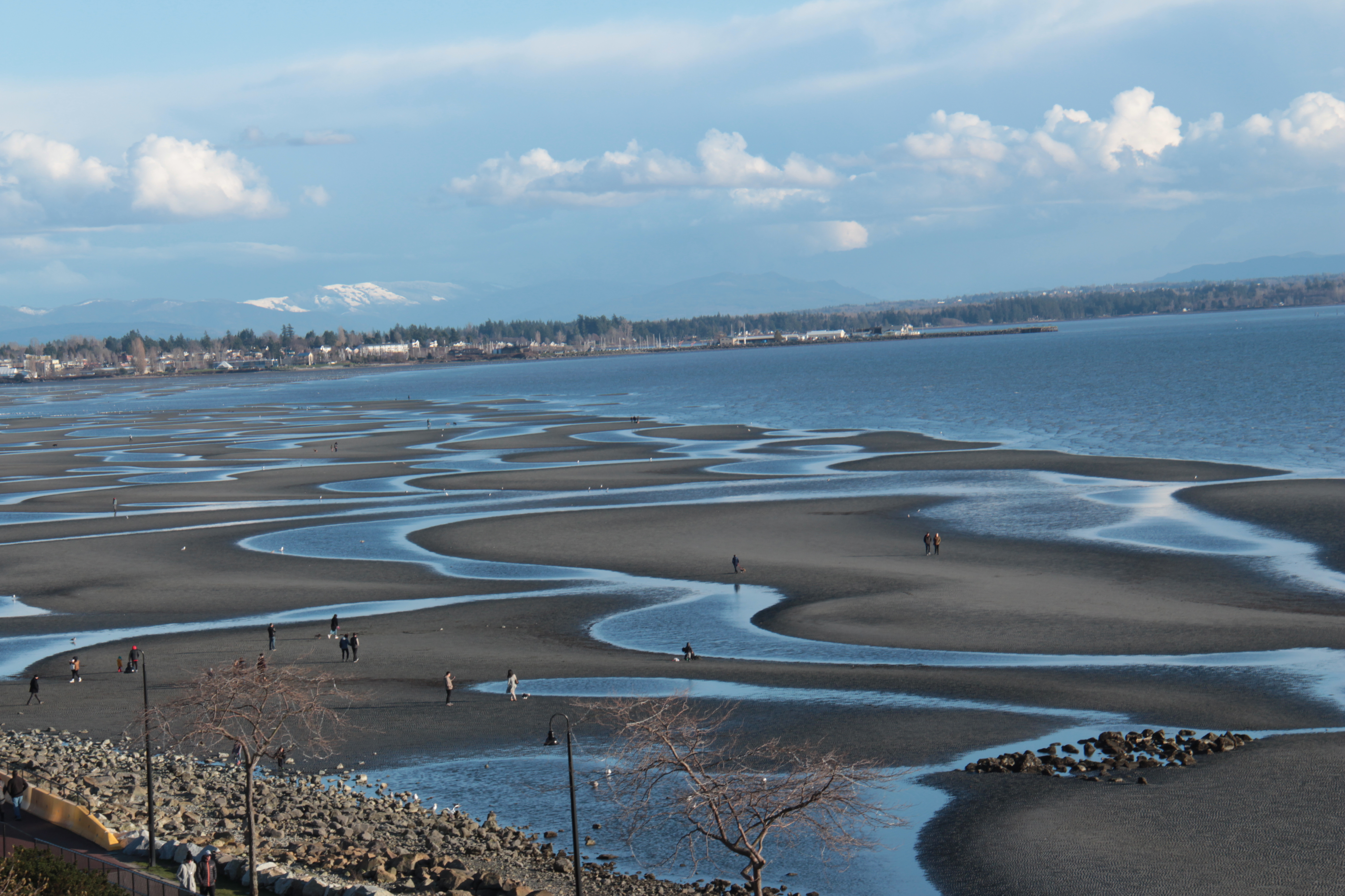 5FB65032-C174-4BE6-9C76-32393E6556D9