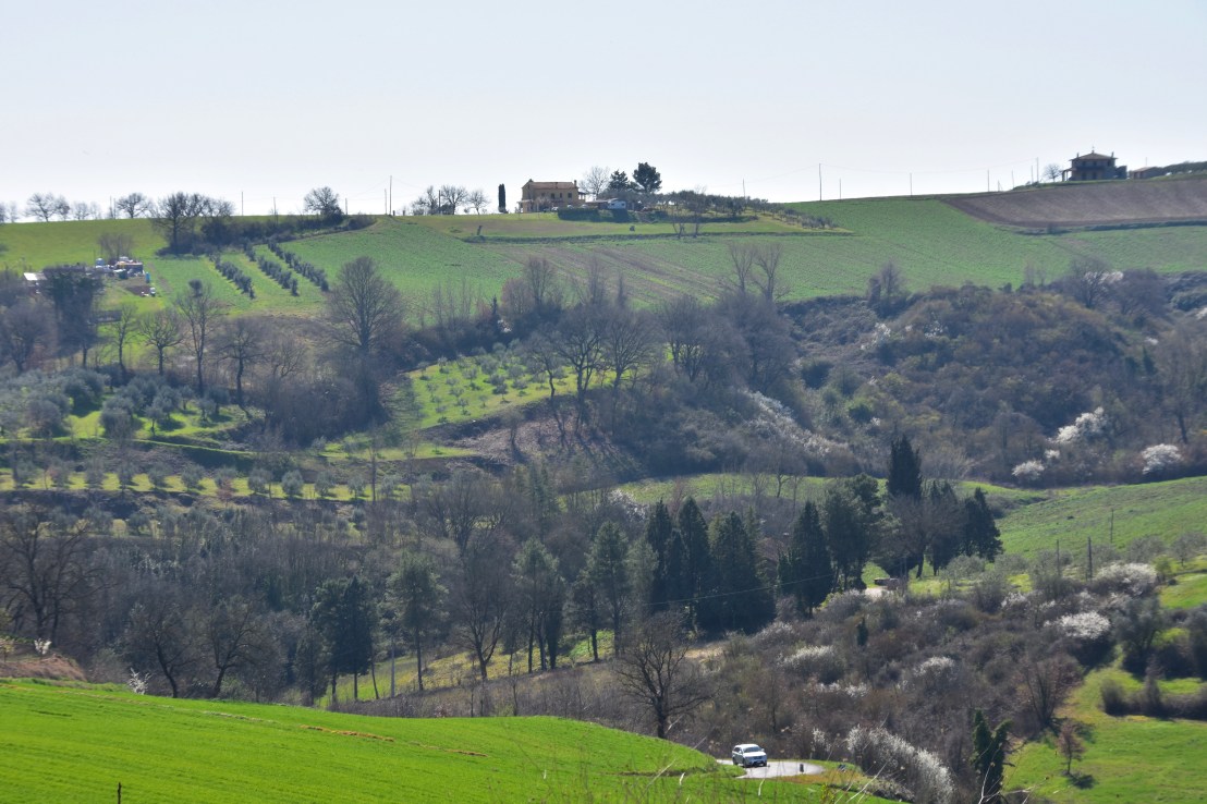 6E76B260-61C2-44A3-BFBB-A2F7FE5B2DF8