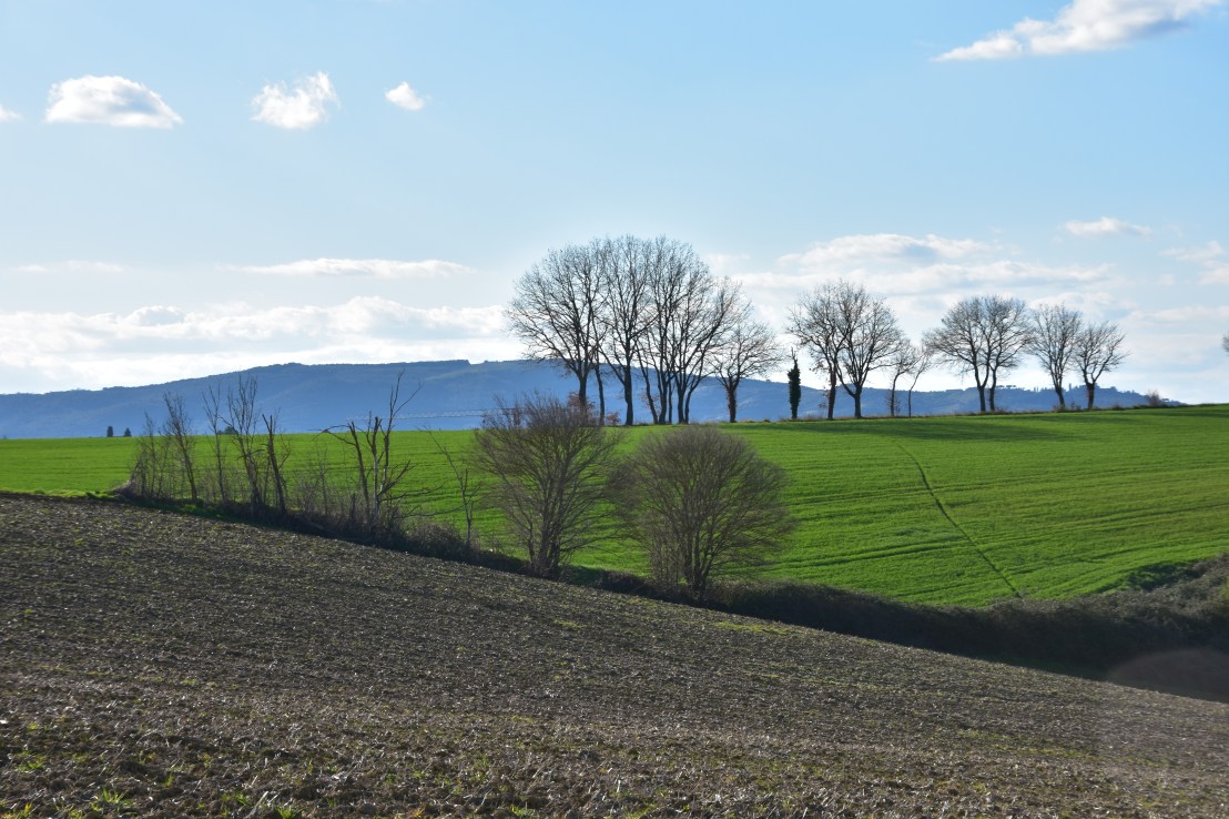 8933906A-99FA-4557-BA58-96E54734A280