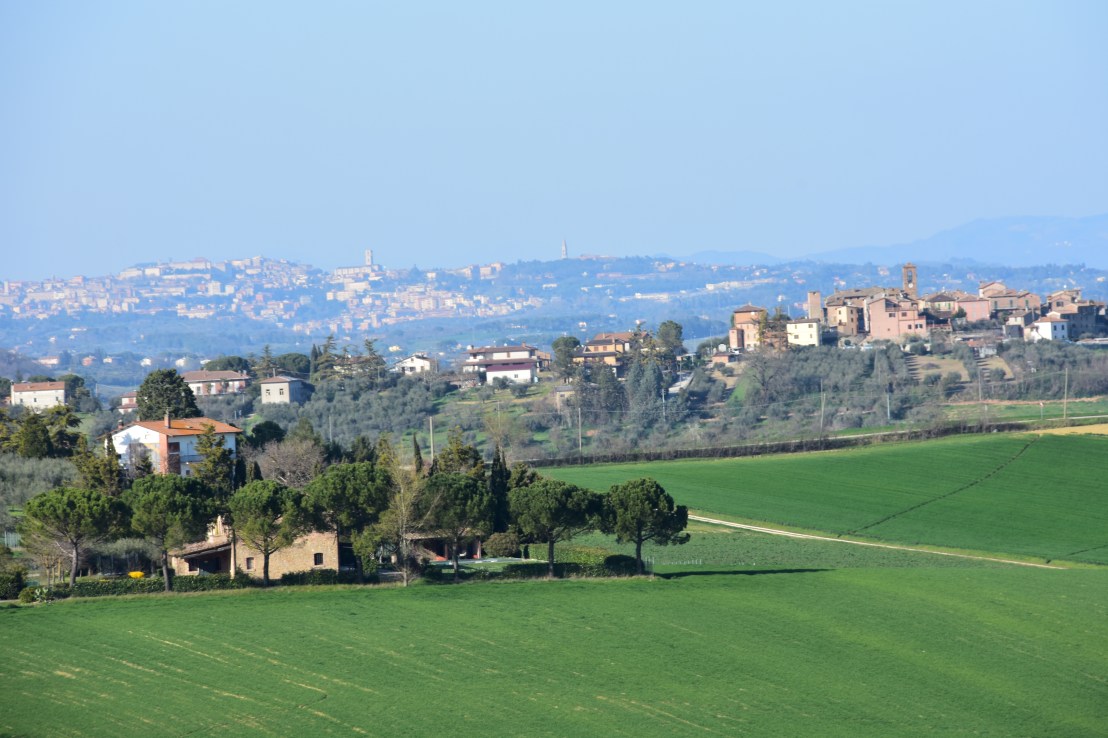 8B045539-9E64-4C26-92BD-BC310A8F2982