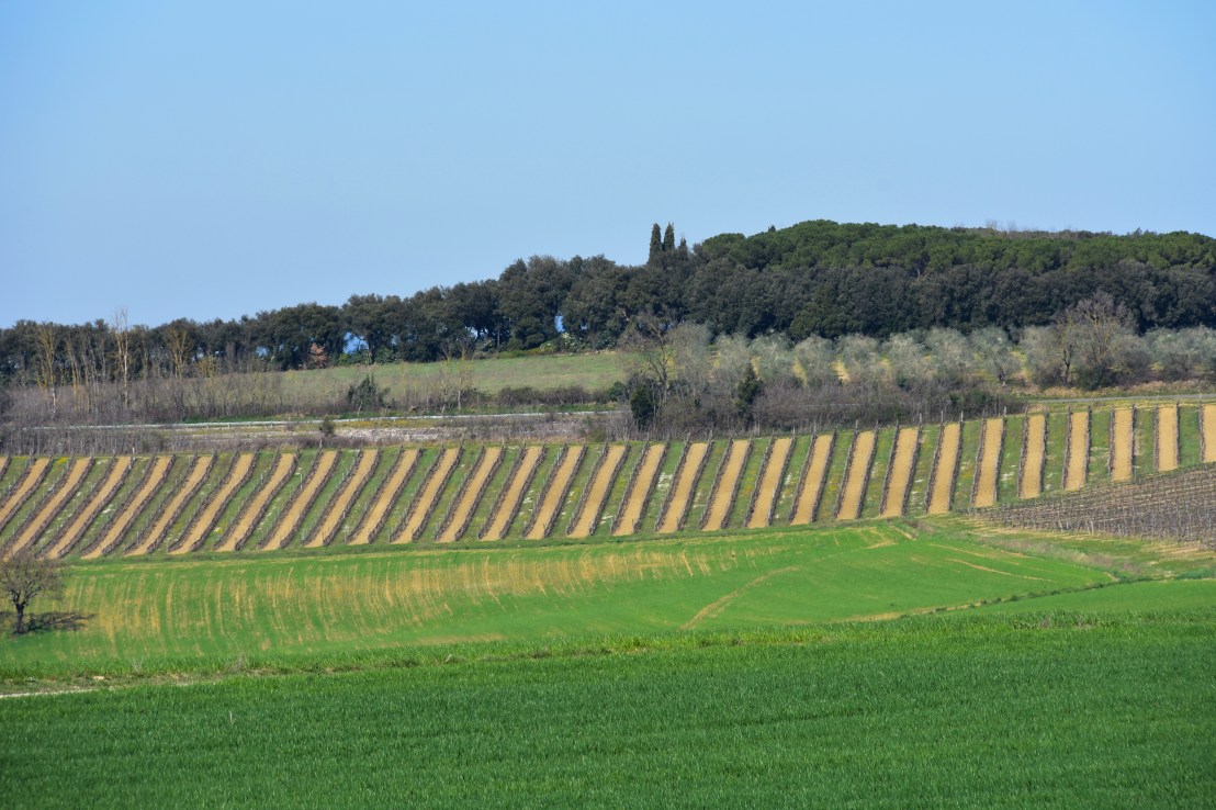 998E278B-BD59-472A-8829-5EBF4A7A1C6D