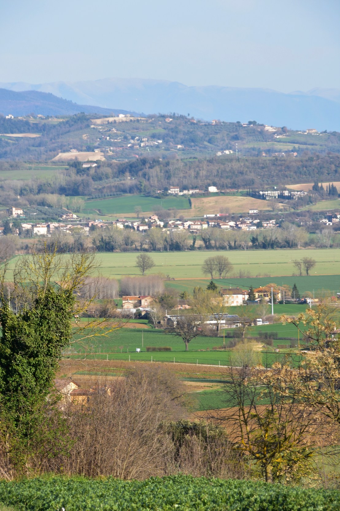 B294E56D-ABCA-4C21-9702-BC43EED2232C