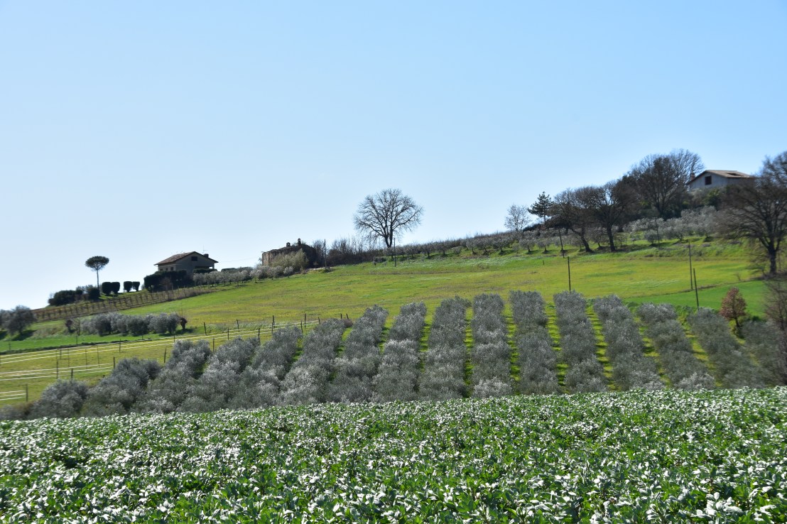 BA09735D-9116-4A2E-AD64-C3D4771B70BD