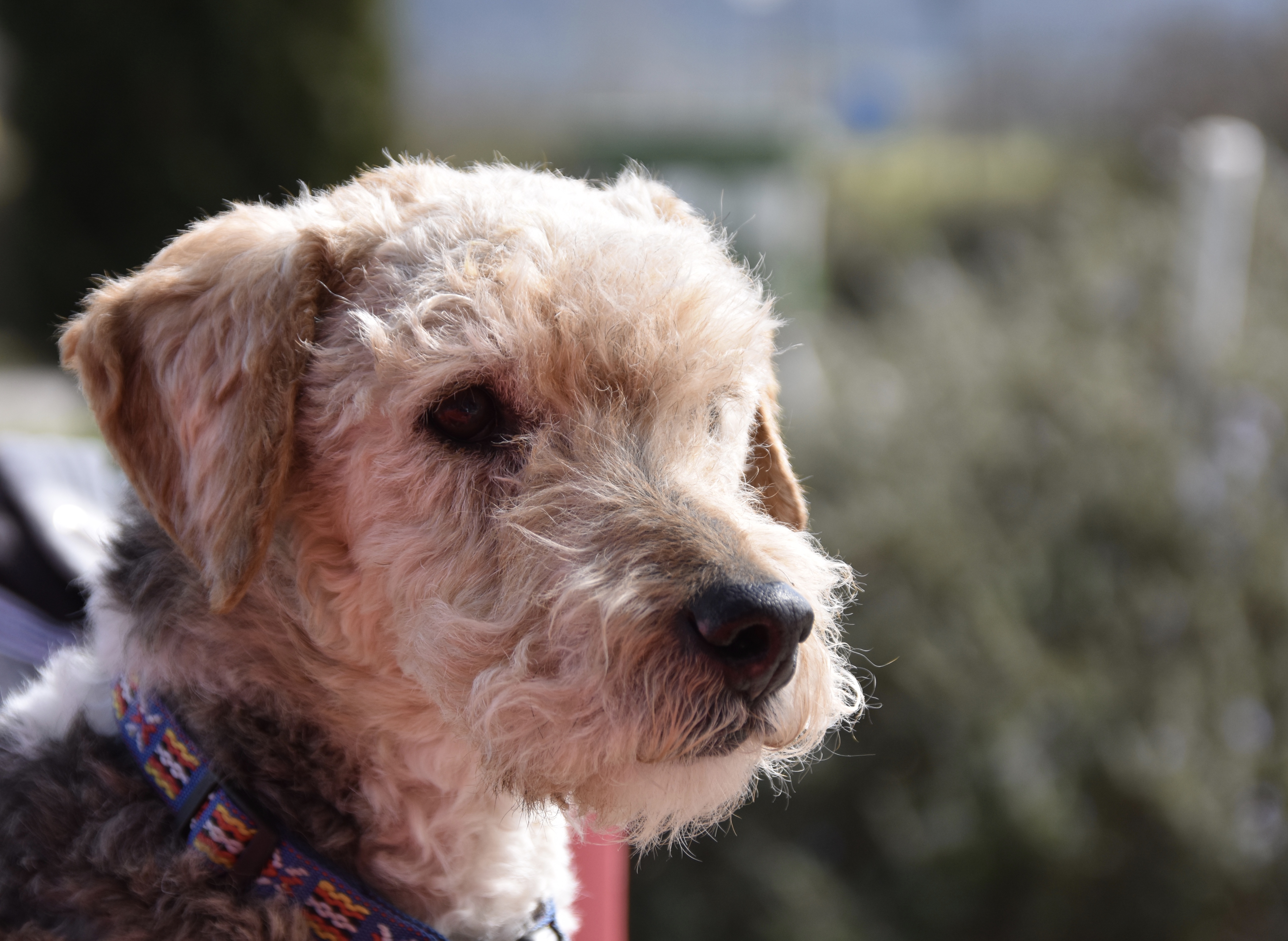 E6357875-4E90-4331-A378-E8DD712DF965