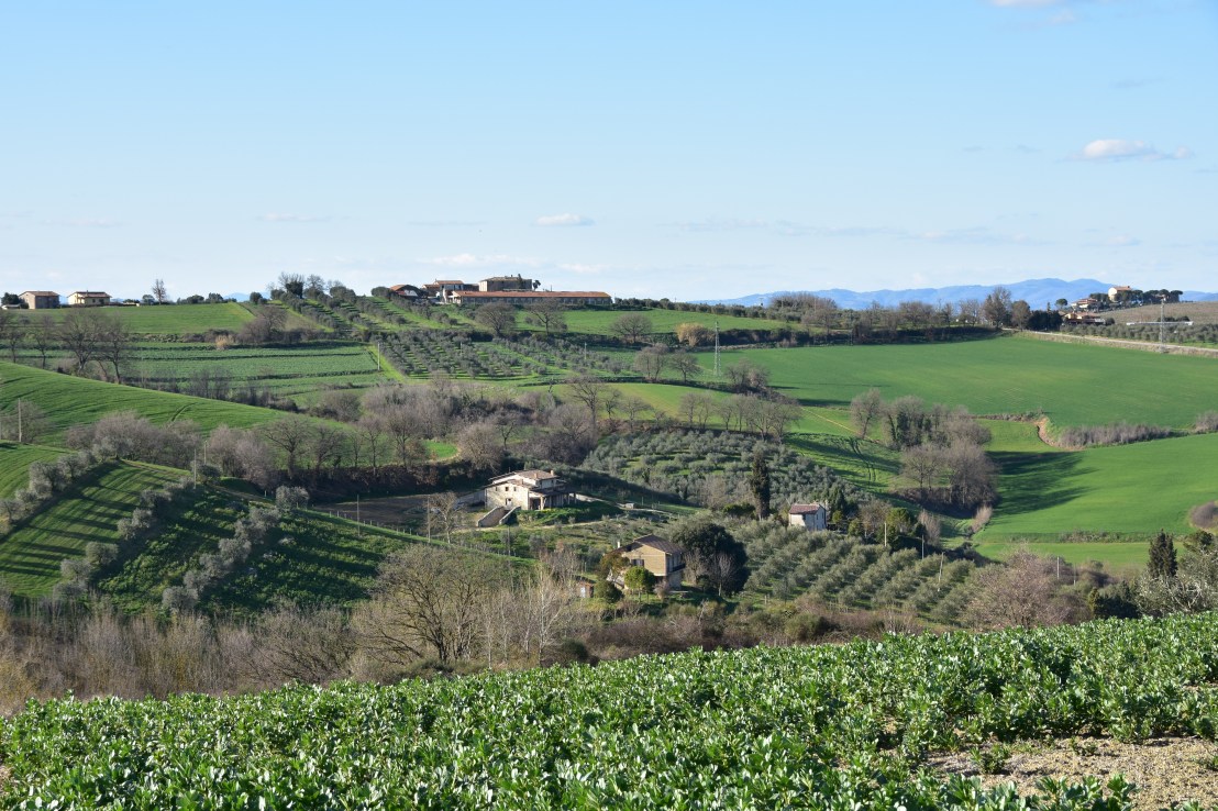 EF44C1EA-7657-4C4D-AA8D-670981764C75