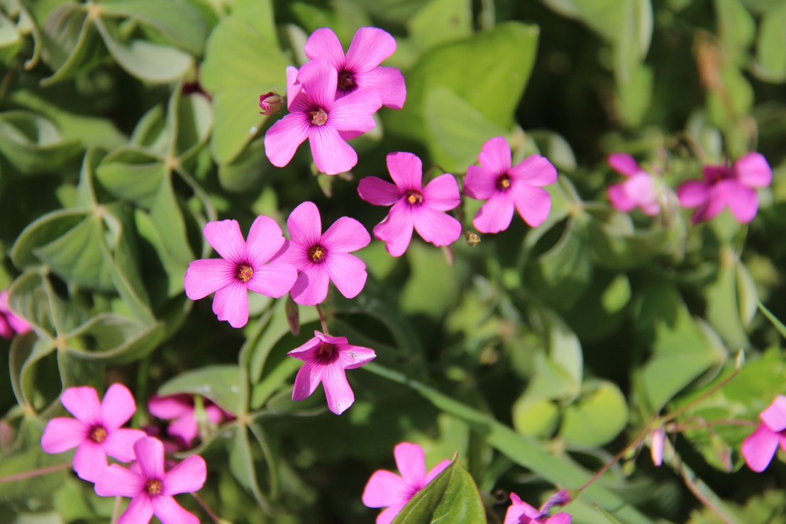 FBA1A14D-9910-4205-AD82-08B22AE6F7C3