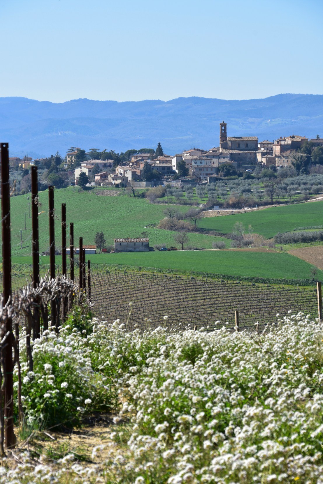 FC71F9A0-A044-42FA-AEAC-6D624E249FDE