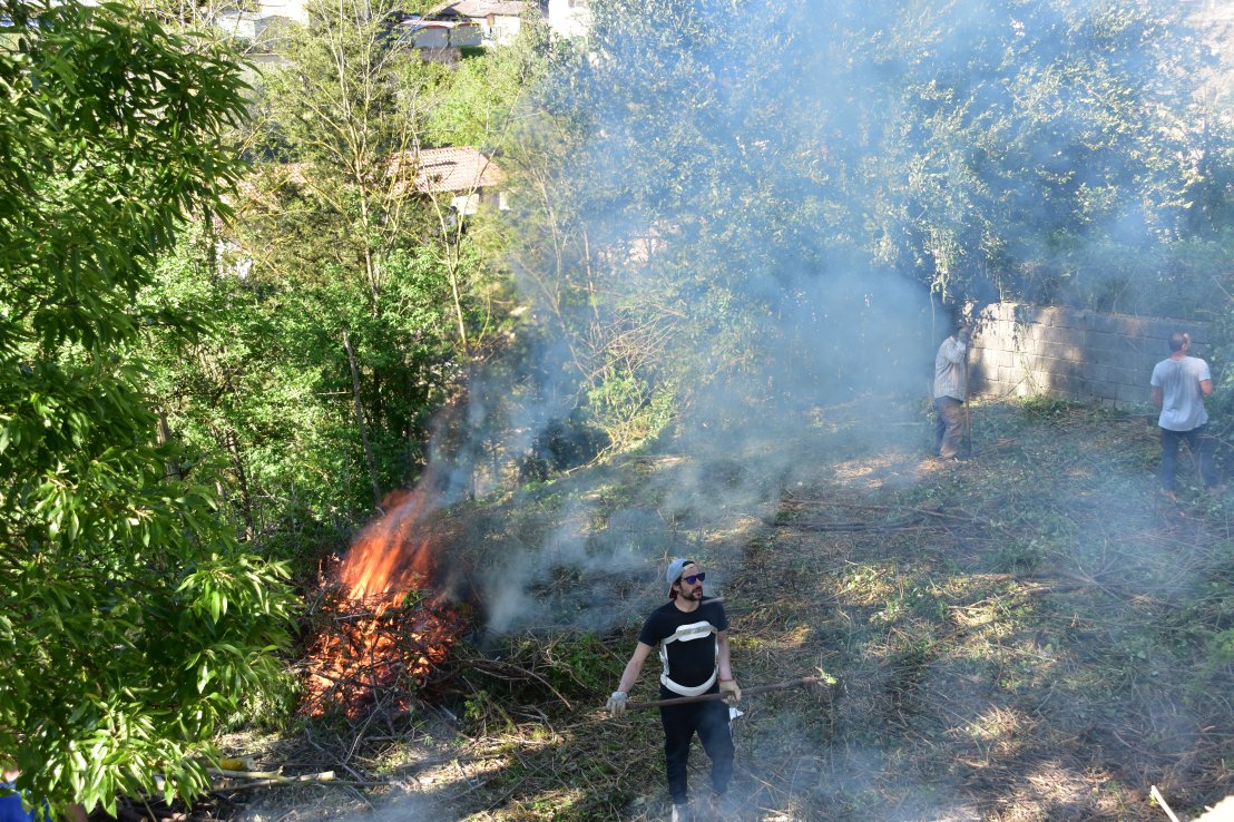 001CDBF1-803A-4835-AD70-850D8F4B6BF5