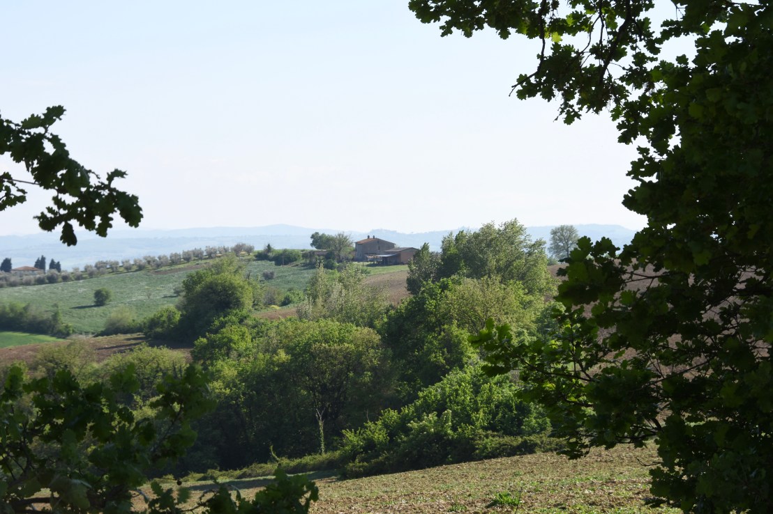 00936B29-928E-4E6C-AF31-BF5EC9B04846