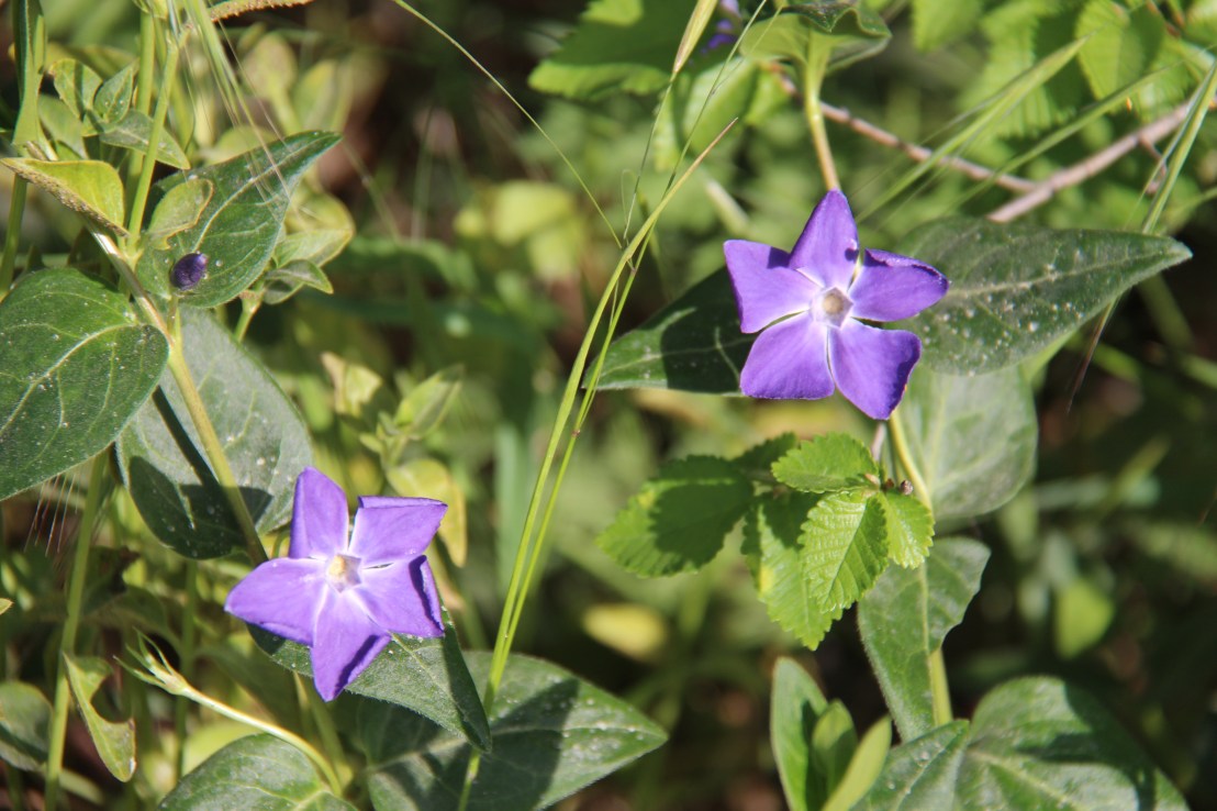 0E7264E9-D64B-426B-B02B-3A9C29611195