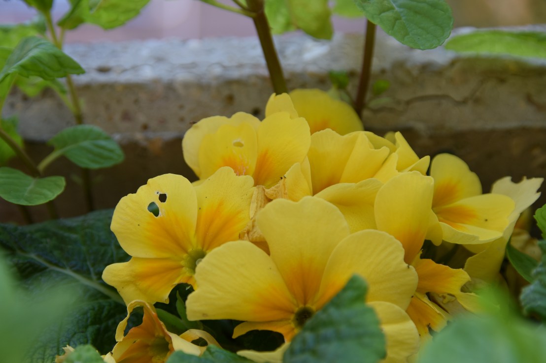 0F6249D6-6244-4E98-83CA-C6A842C59D50