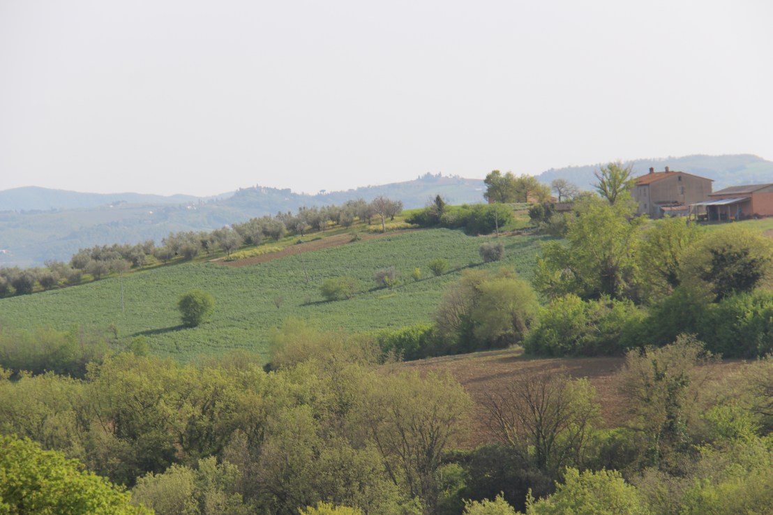 1ED45BB3-3CC2-4ACF-82ED-C04168C3347C