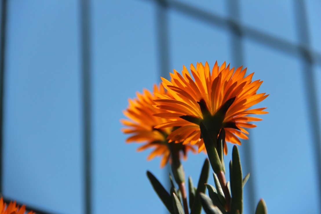 40418291-D17F-4FFC-9673-E6C99D524AFE