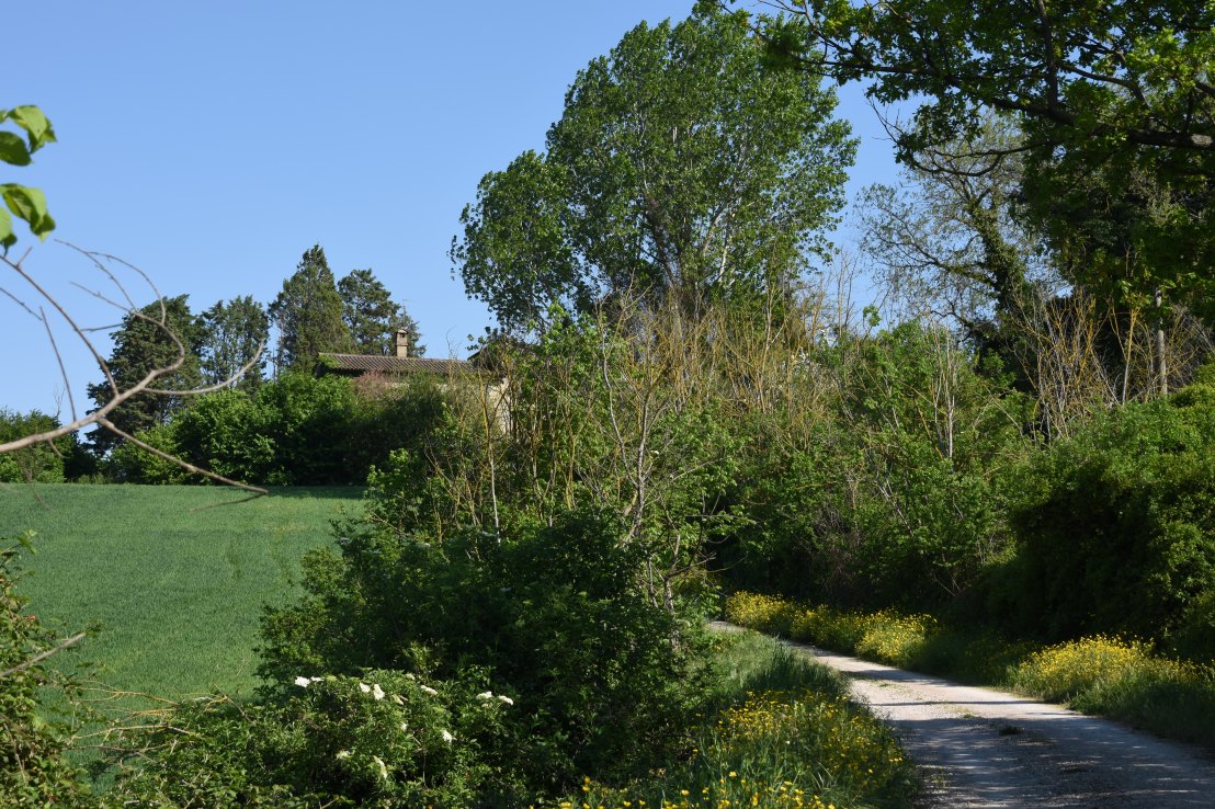 429775BA-8CD4-42A1-8632-B9B191536646