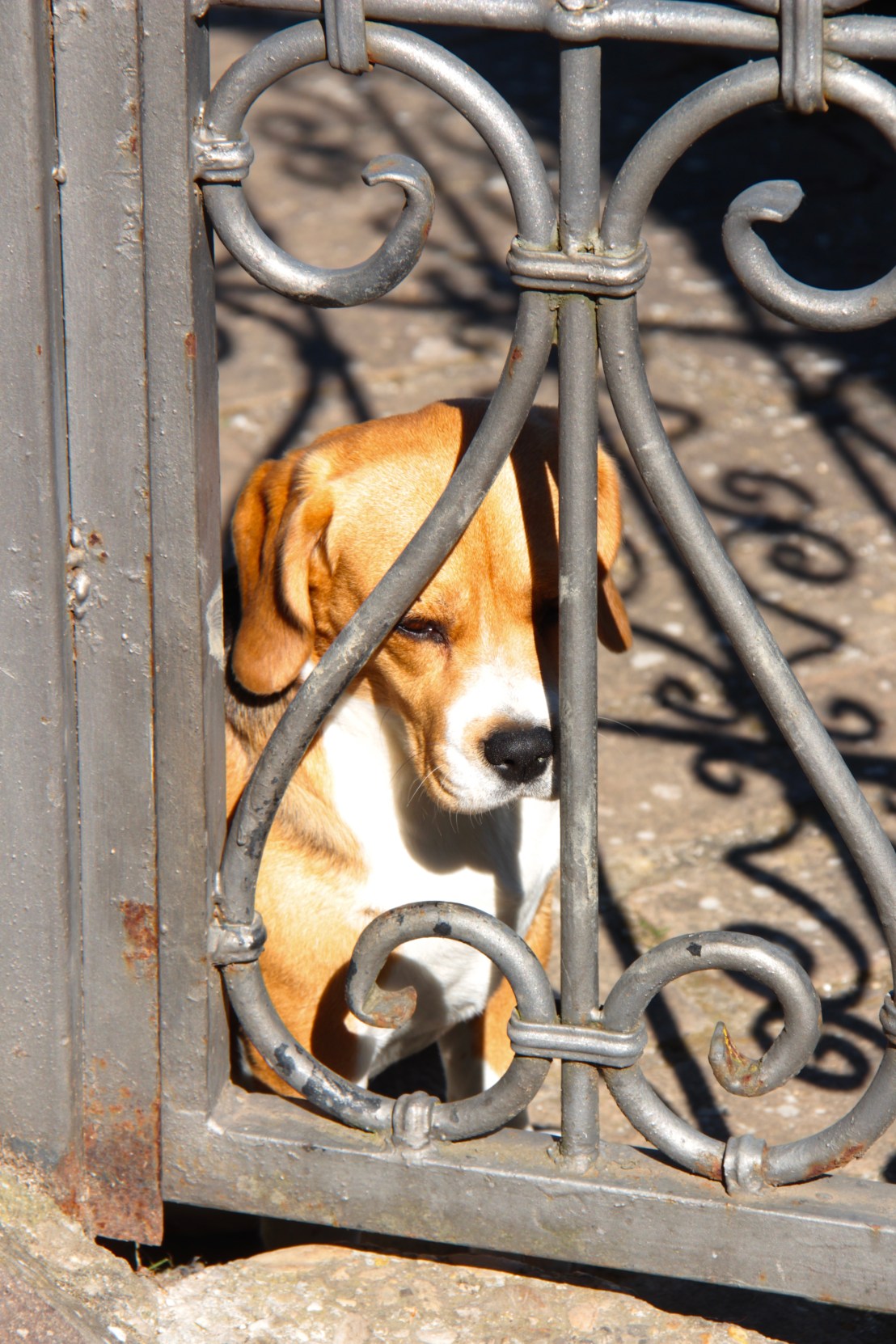 4A04C8C9-17ED-4583-B505-95572AAE7FEE