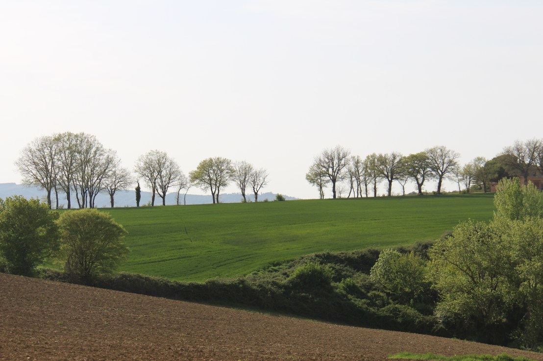 6BB402E5-4E69-4F5D-8FFD-DA7FEFF39CE0