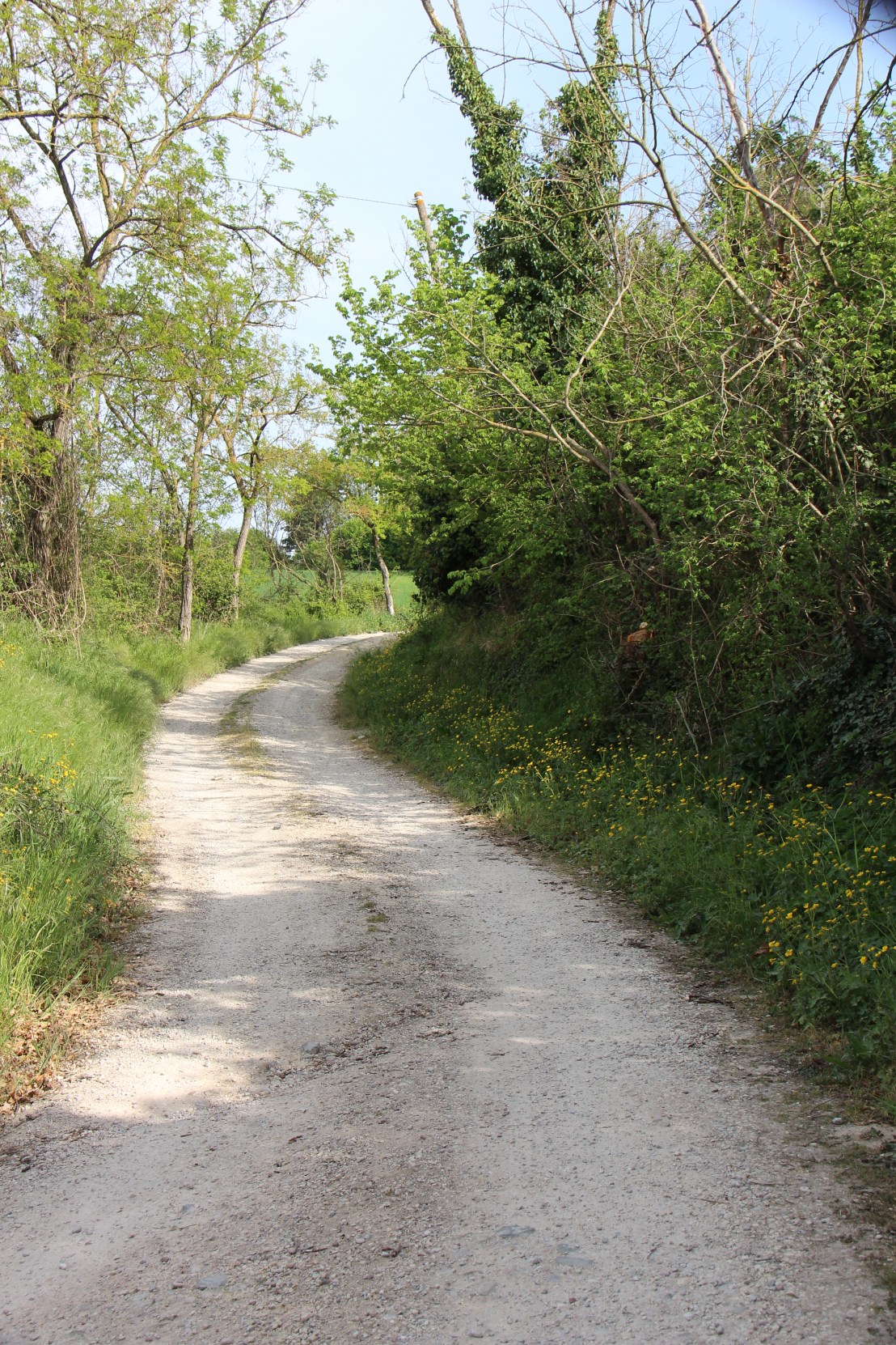 81830D0C-F112-481D-A8AC-57941438D04B