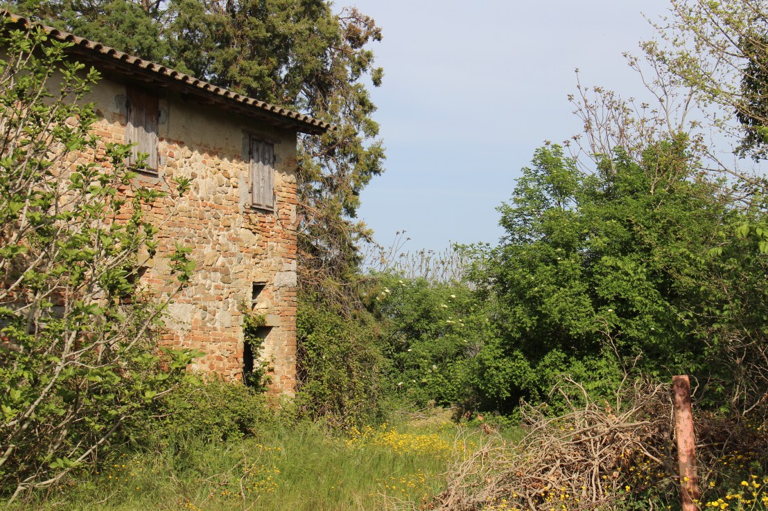 A930EABE-1B60-4651-A9B7-5C6C48363713