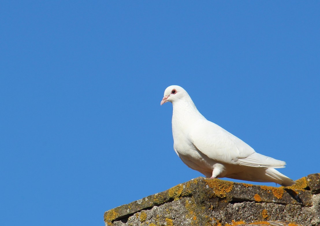 A9EB2319-F21C-4310-842F-0803FAC41D05