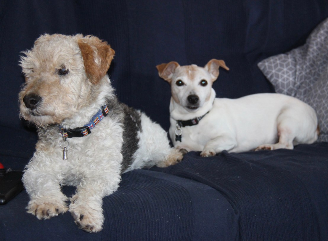 B66ECCB9-3273-45E4-B6F8-088AB28C2056