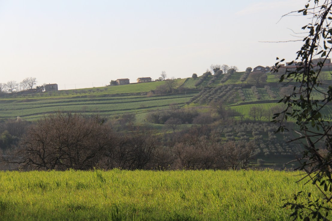 BA775A03-AC63-4D21-9E6B-5677DA5DBB28