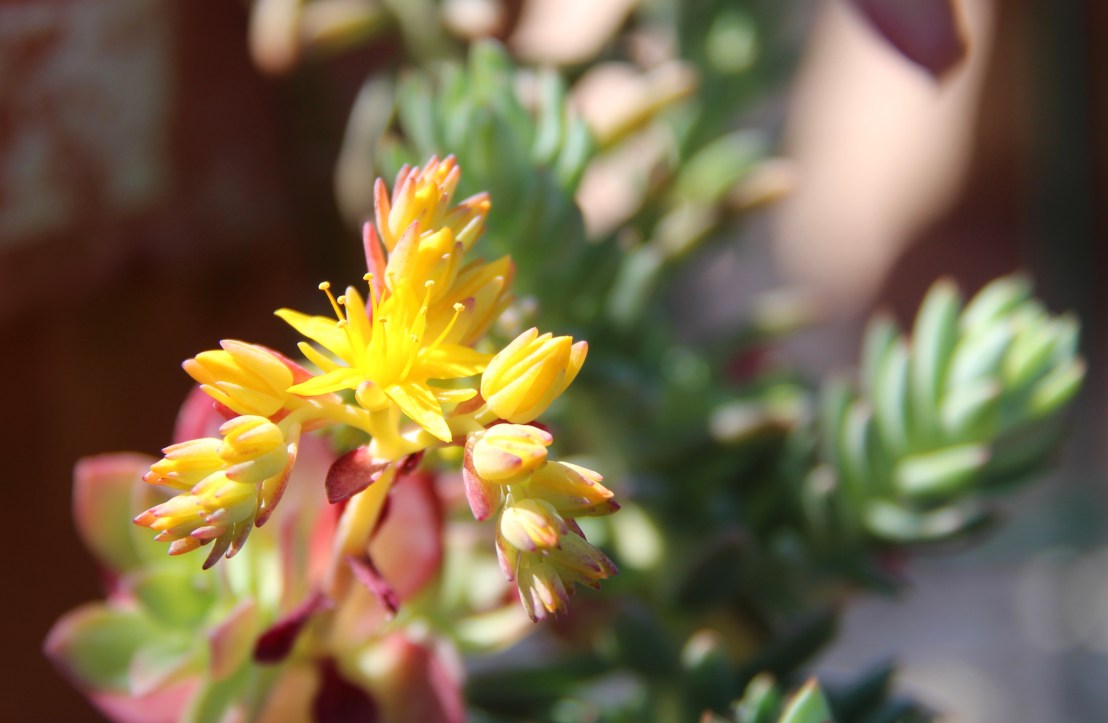 BAA05F65-29AA-465E-907A-4868C411A259