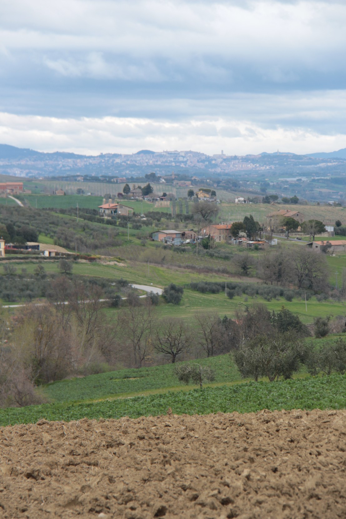 D4D7A340-97D0-4332-8FB0-625DA96D2E1A