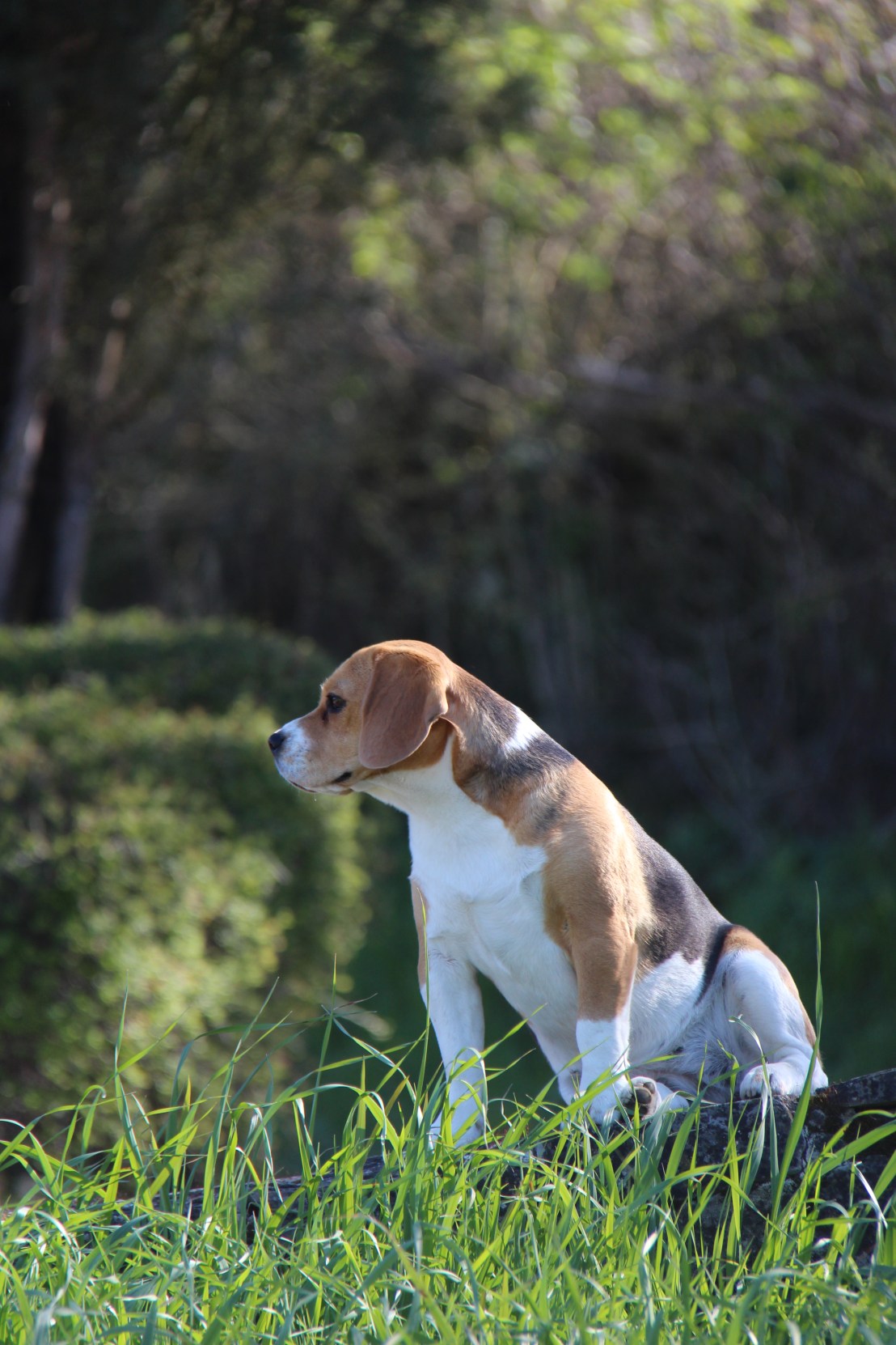 D9E501E1-8C5B-450F-A778-F96A025D811E