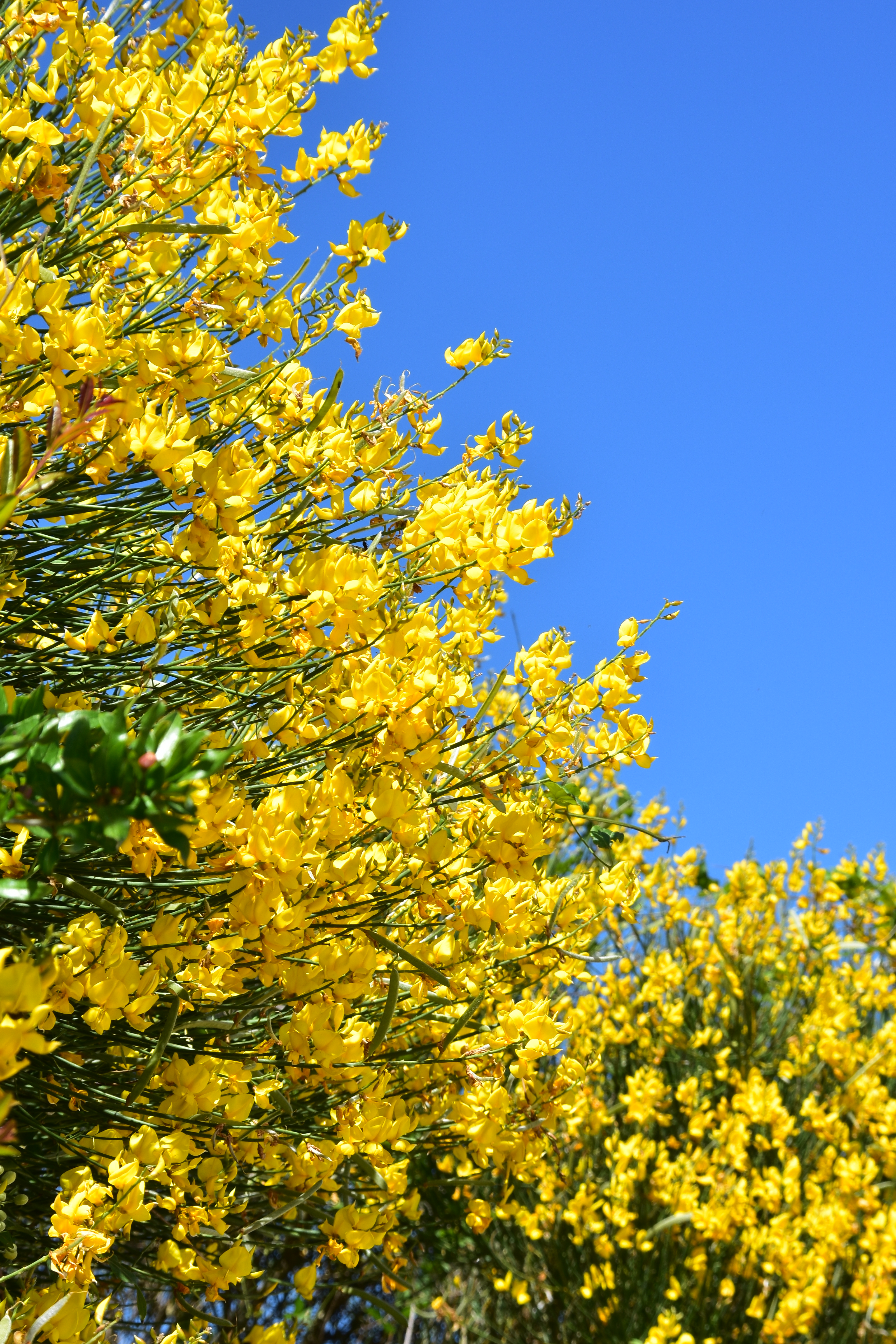 066B91CD-96E7-498D-B02E-73B66BB4667B