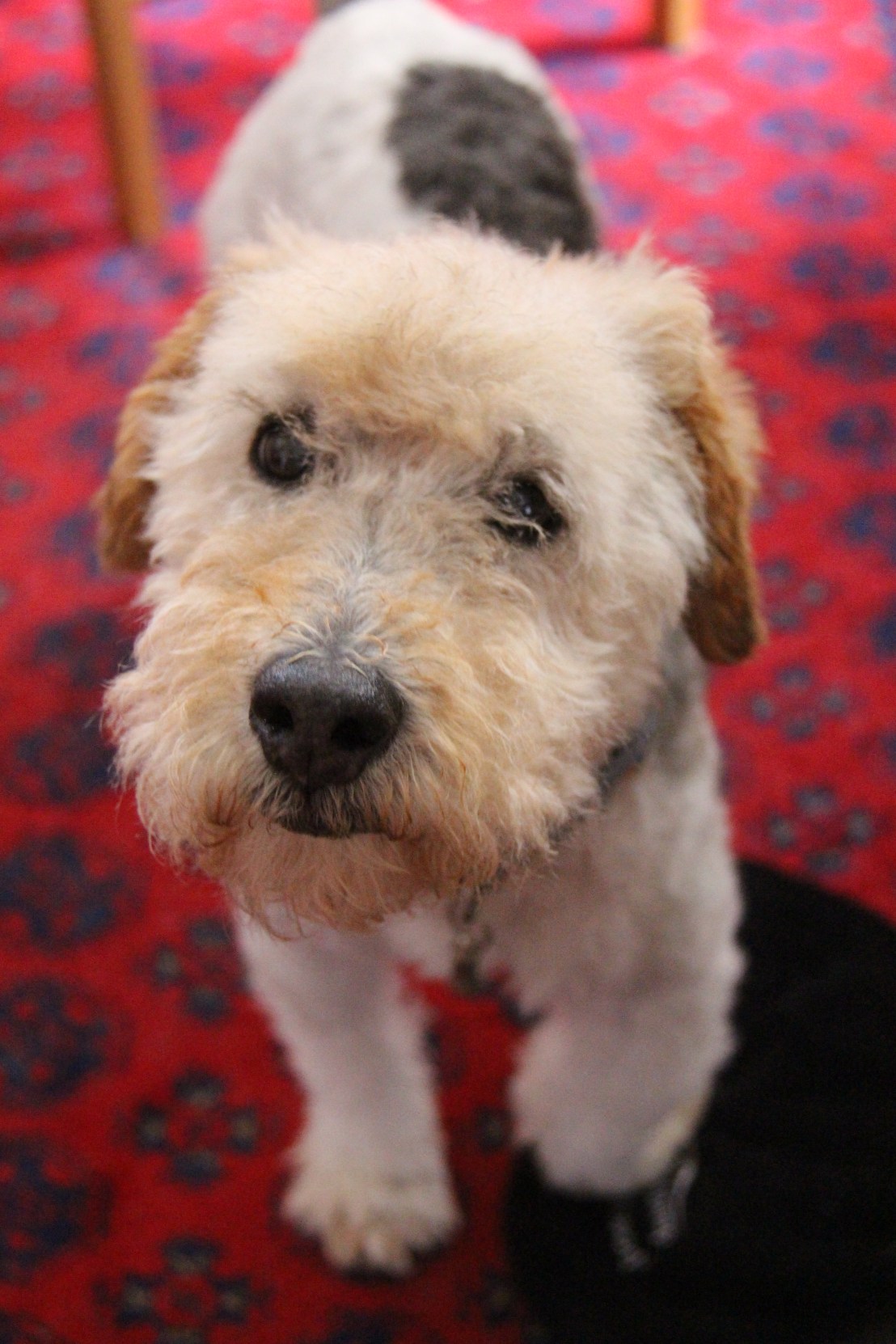 1D887502-AD46-47E3-B19C-5BA8FBC7FBDE